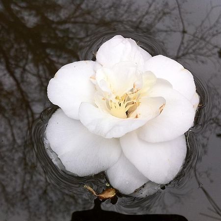 Eira Das Carvalhas 佩纳菲耶尔 客房 照片
