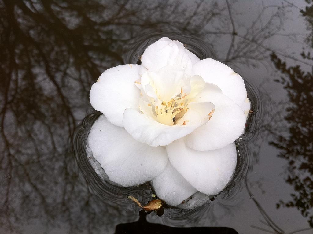 Eira Das Carvalhas 佩纳菲耶尔 客房 照片